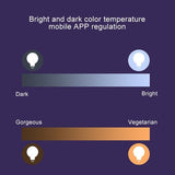 Miniatura del prodotto