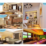 Miniatura del prodotto