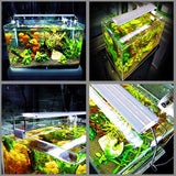 Miniatura del prodotto