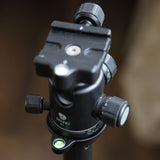 Miniatura del prodotto