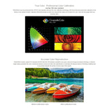 Miniatura del prodotto