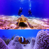 Miniatura del prodotto