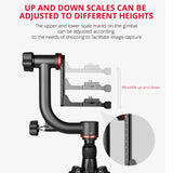 Miniatura del prodotto