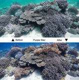 Miniatura del prodotto