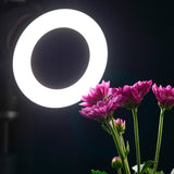 Miniatura del prodotto