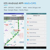 Miniatura del prodotto