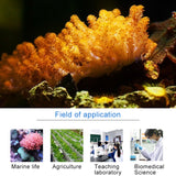 Miniatura del prodotto