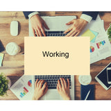 Miniatura del prodotto