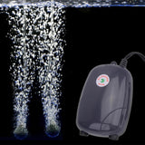 Miniatura del prodotto