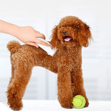 Miniatura del prodotto