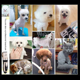 Miniatura del prodotto