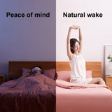 Miniatura del prodotto