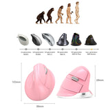 Miniatura del prodotto