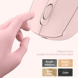 Miniatura del prodotto