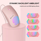 Miniatura del prodotto