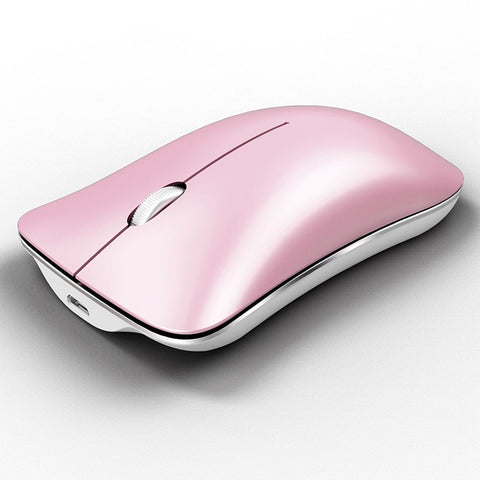 Mouse Ottico Ergonomico HXSJ T23F Bluetooth e 2.4 GHz - 1600 DPI,