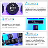 Miniatura del prodotto