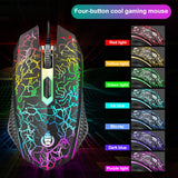 Miniatura del prodotto