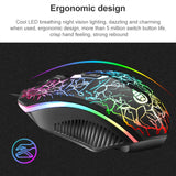 Miniatura del prodotto