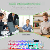 Miniatura del prodotto