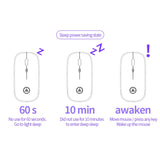 Miniatura del prodotto