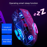 Miniatura del prodotto