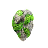 Miniatura del prodotto