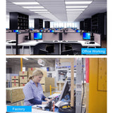 Miniatura del prodotto