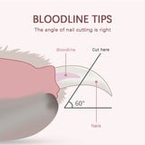 Miniatura del prodotto