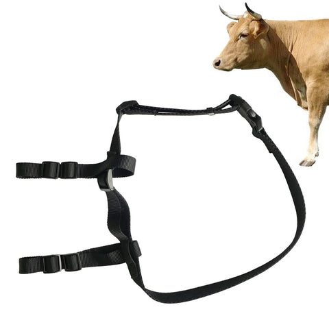 Set di localizzatore di bestiame V34/V44 Set di collari di posizionamento GPS per dispositivo anti-smarrimento degli animali, For Cattle