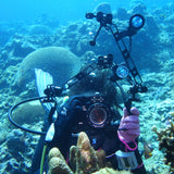 Miniatura del prodotto