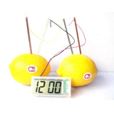 Miniatura del prodotto