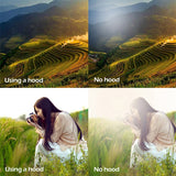 Miniatura del prodotto