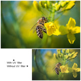 Miniatura del prodotto