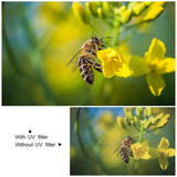 Miniatura del prodotto