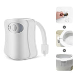 Miniatura del prodotto