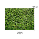 Miniatura del prodotto