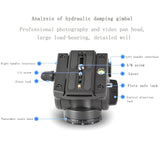 Miniatura del prodotto