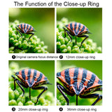 Miniatura del prodotto