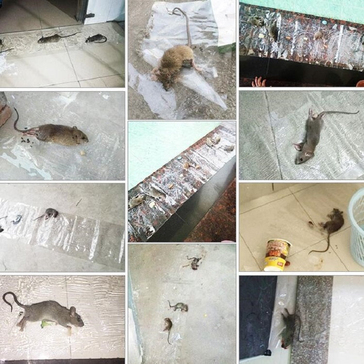 Mouse appiccicoso trasparente con bordo adesivo resistente anti-roditore con colla per trappola per topi, Long Transparent