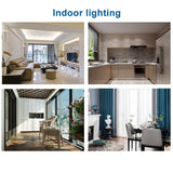 Miniatura del prodotto