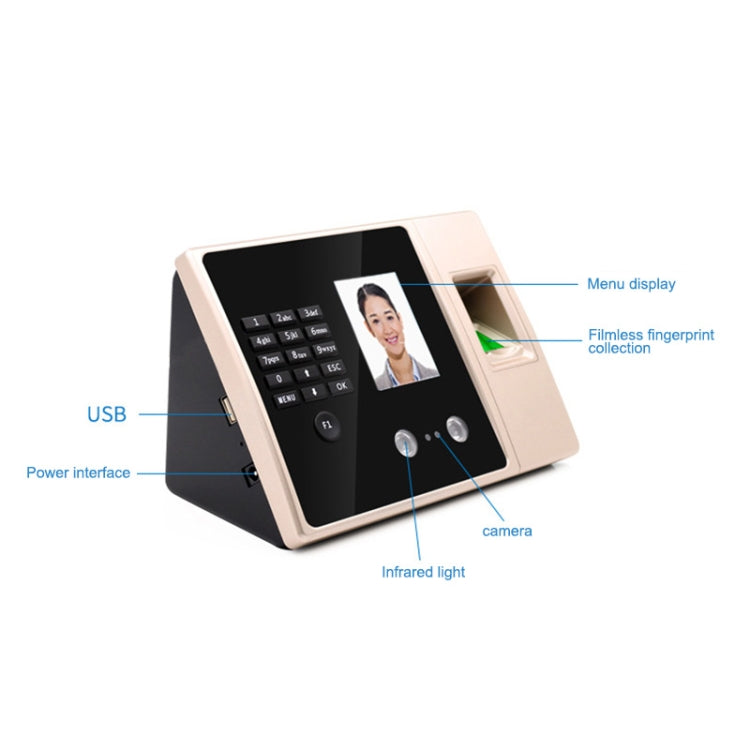 Face Recognition Fingerprint Time Attendance System USA