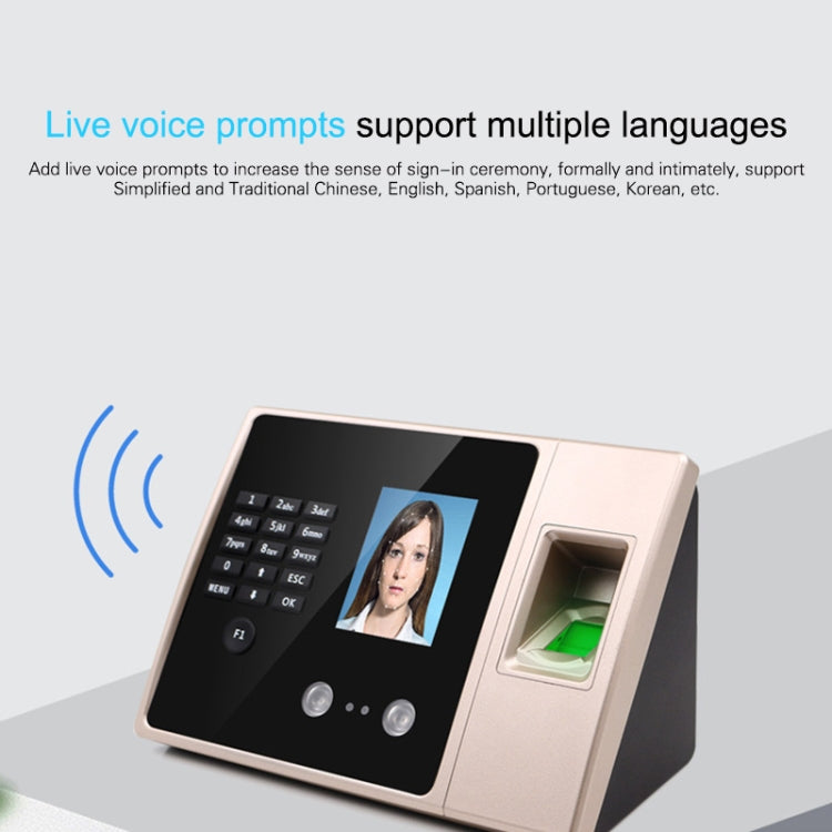 Face Recognition Fingerprint Time Attendance System USA