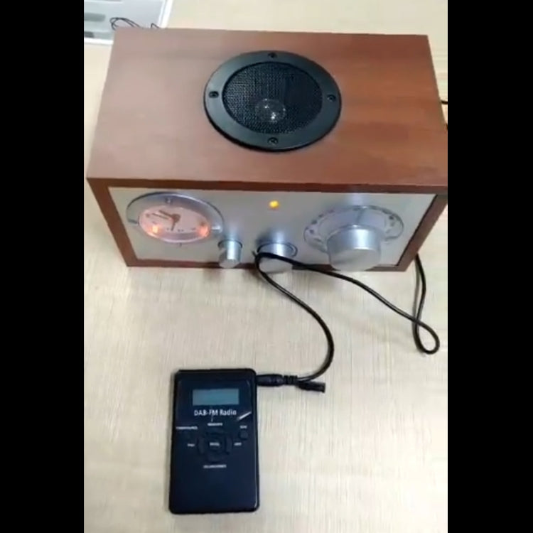Compact Digital DAB+FM Radio with Lanyard & Headset