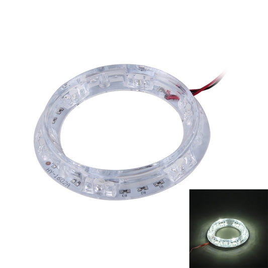 Luce Angel Eyes da 2 W con 6 LED per auto - 12 V CC