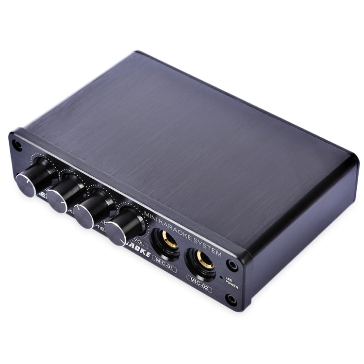 A933 Mini Karaoke Machine Amplifier for TV and Mobile Use