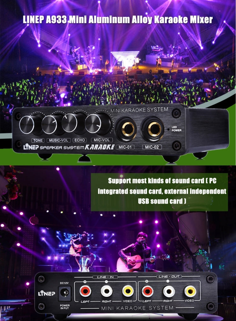 A933 Mini Karaoke Machine Amplifier for TV and Mobile Use