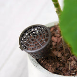 Miniatura del prodotto
