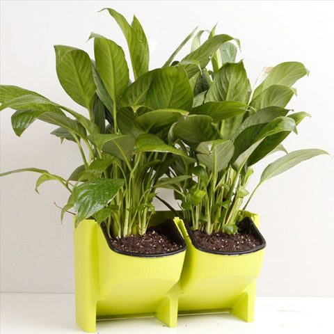 Vasi de fiori a parete verticali per balconi interieur et esterni per piante da parete Combinaison creativa de vasi de fiori en plastica en resina avec vaso rimovibile