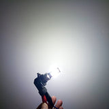 Miniatura del prodotto